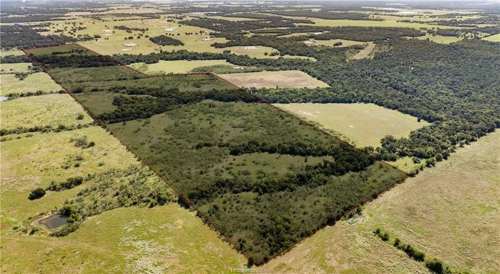 156 acres in Robertson County - photo 13