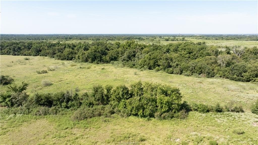 156 acres in Robertson County - photo 21