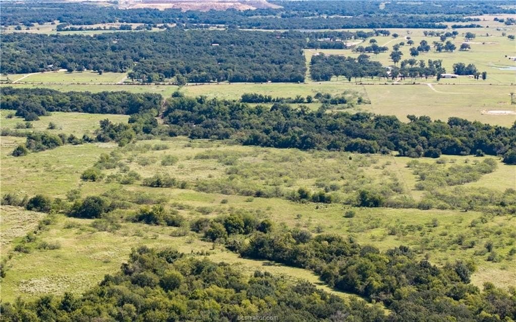 156 acres in Robertson County - photo 17