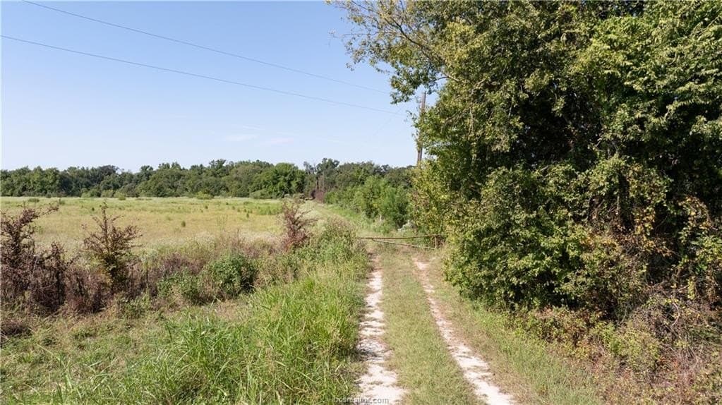 156 acres in Robertson County gallery image 2