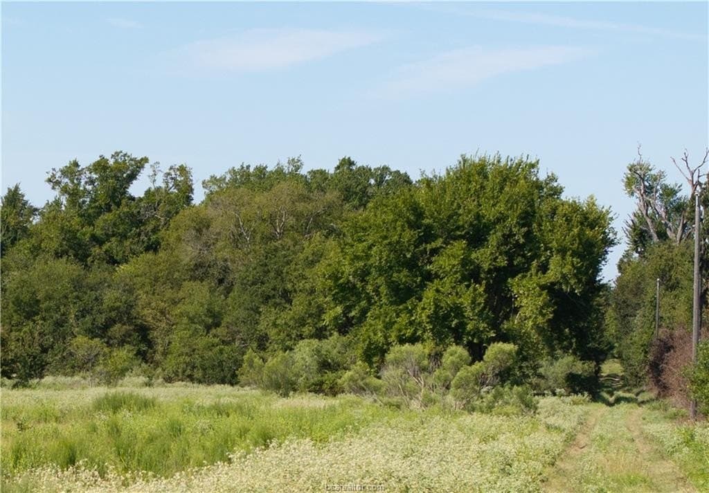 156 acres in Robertson County featured view