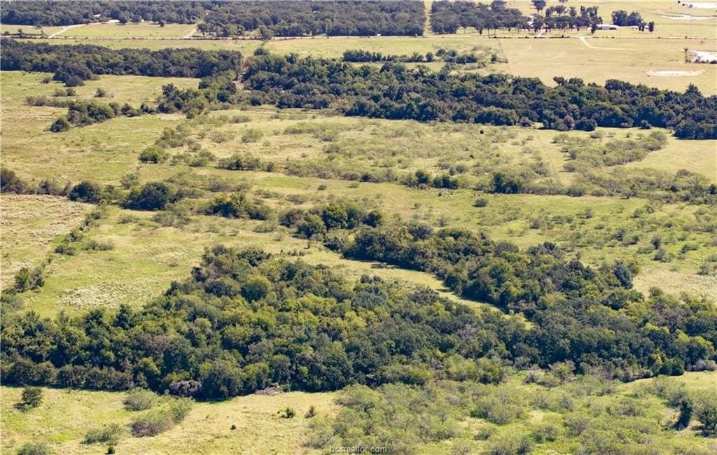 156 acres in Robertson County - photo 18