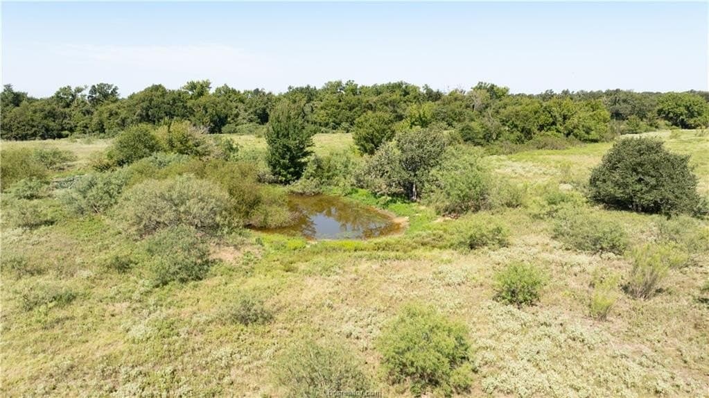 156 acres in Robertson County - photo 22