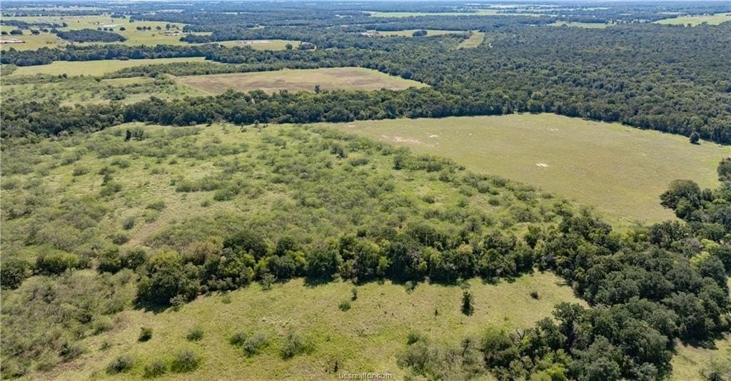 156 acres in Robertson County - photo 11