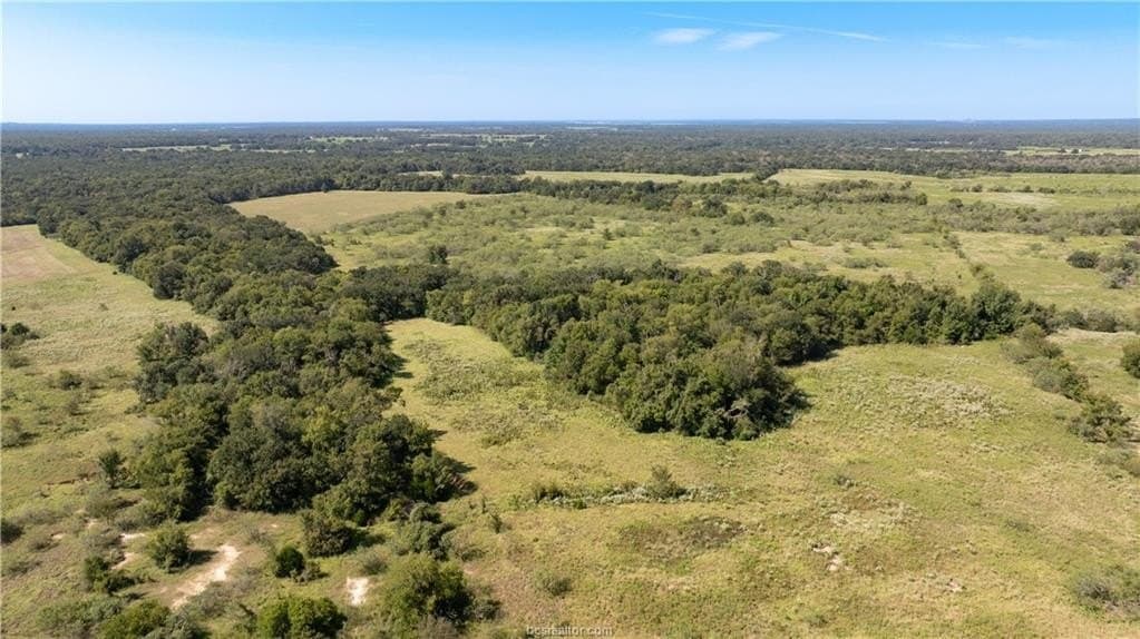 156 acres in Robertson County - photo 10