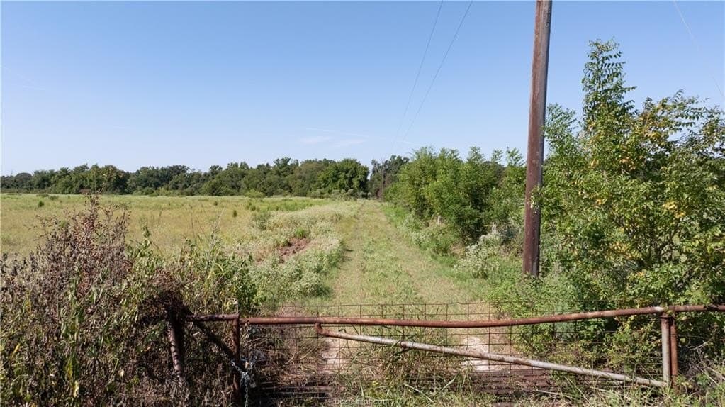 156 acres in Robertson County gallery image 3
