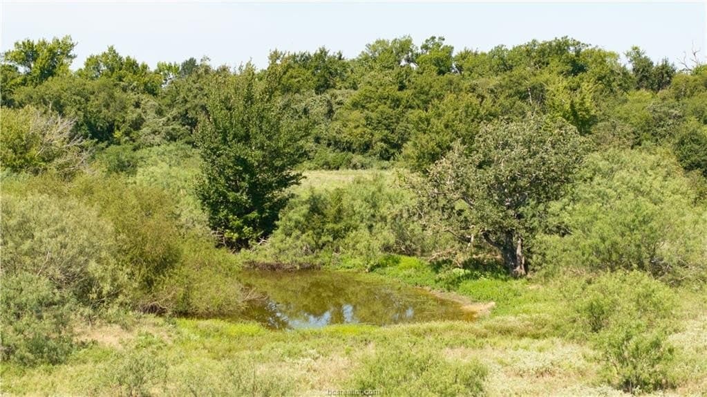 156 acres in Robertson County - photo 23
