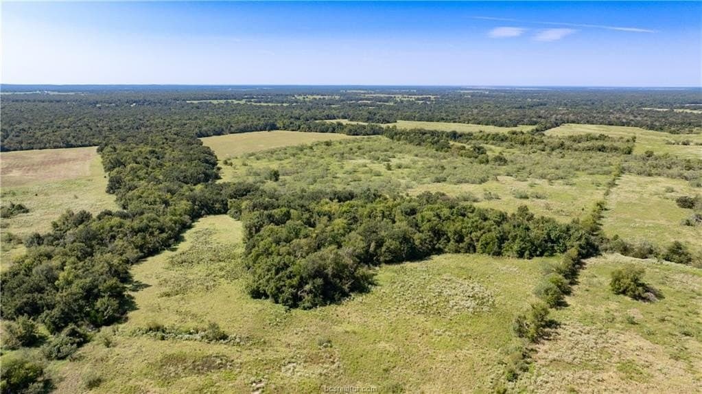 156 acres in Robertson County - photo 12