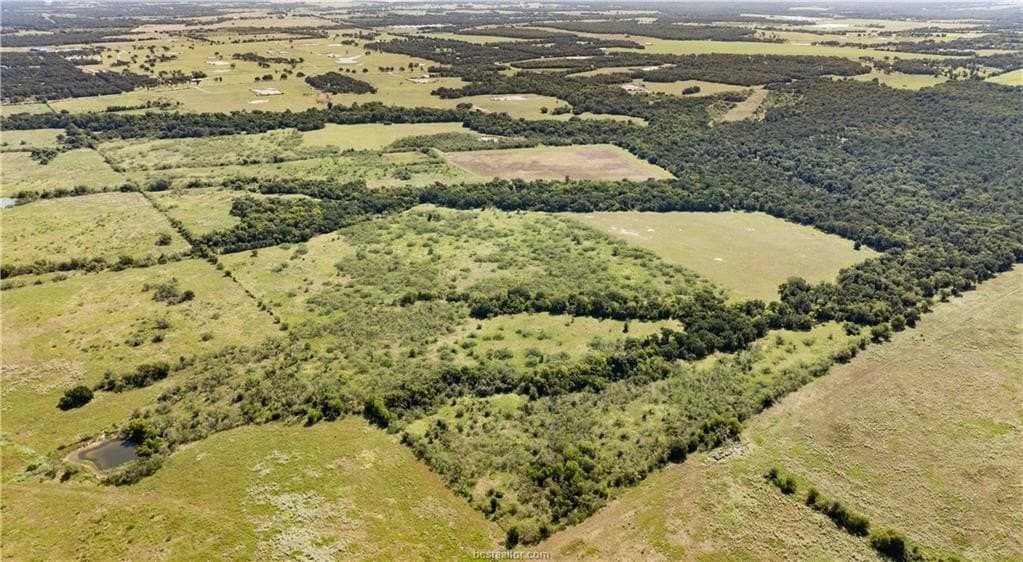 156 acres in Robertson County - photo 14