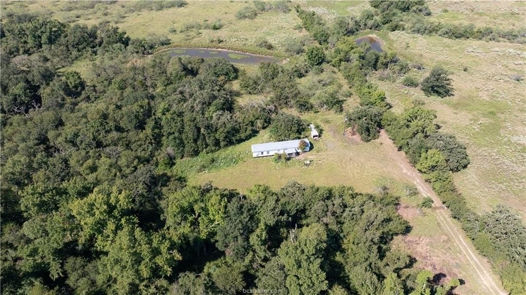 156 acres in Robertson County - photo 6