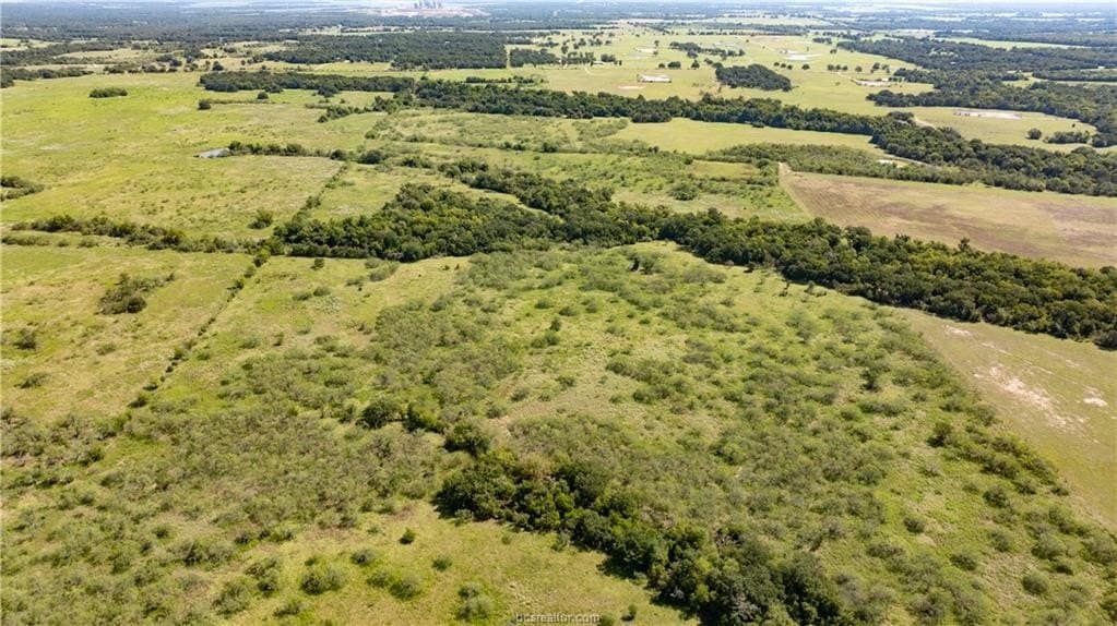 156 acres in Robertson County - photo 16