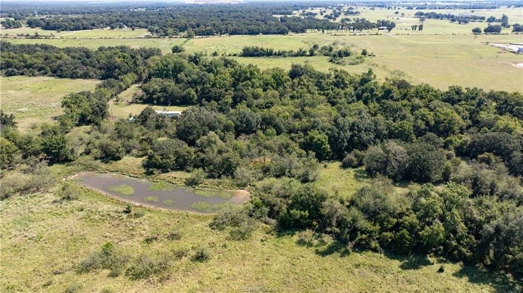 156 acres in Robertson County - photo 19