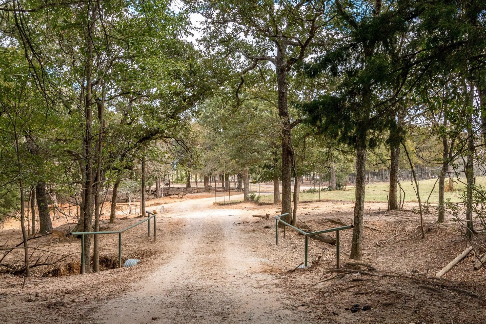 240 acres in Robertson County - photo 14