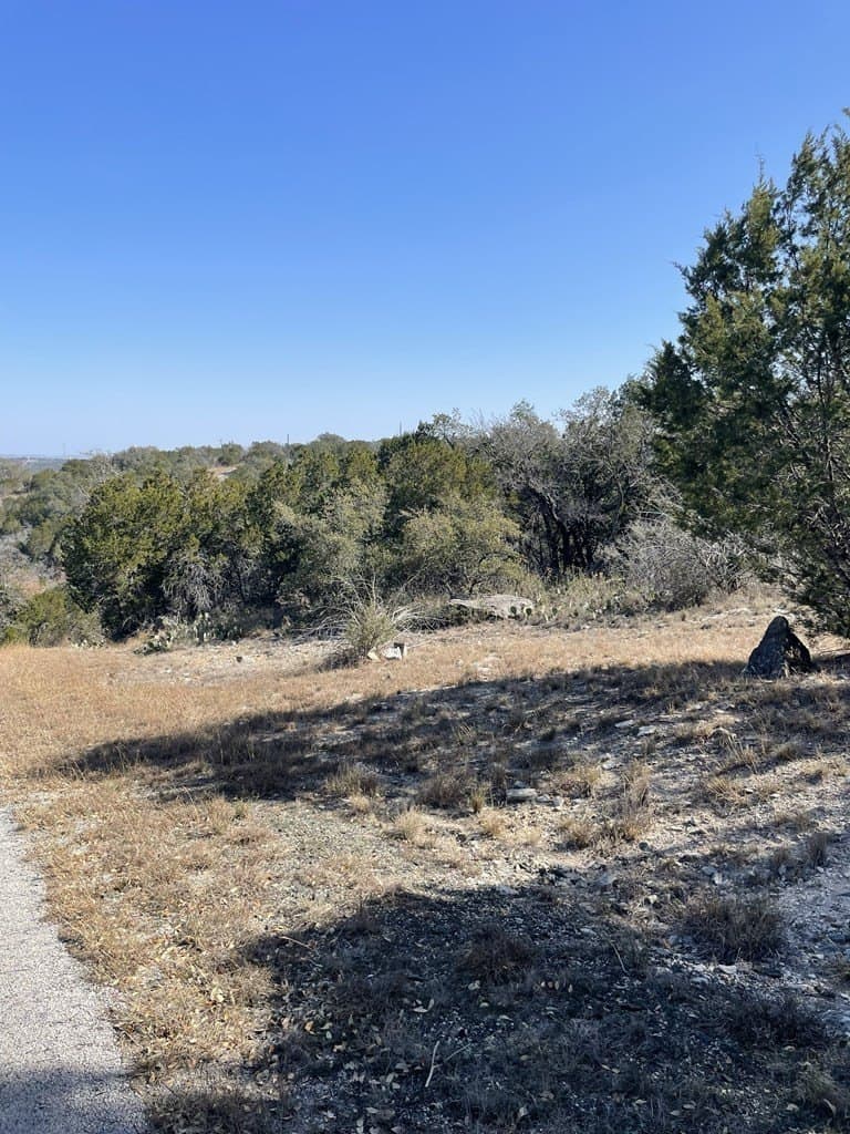0.3 acres in Burnet County gallery image 4