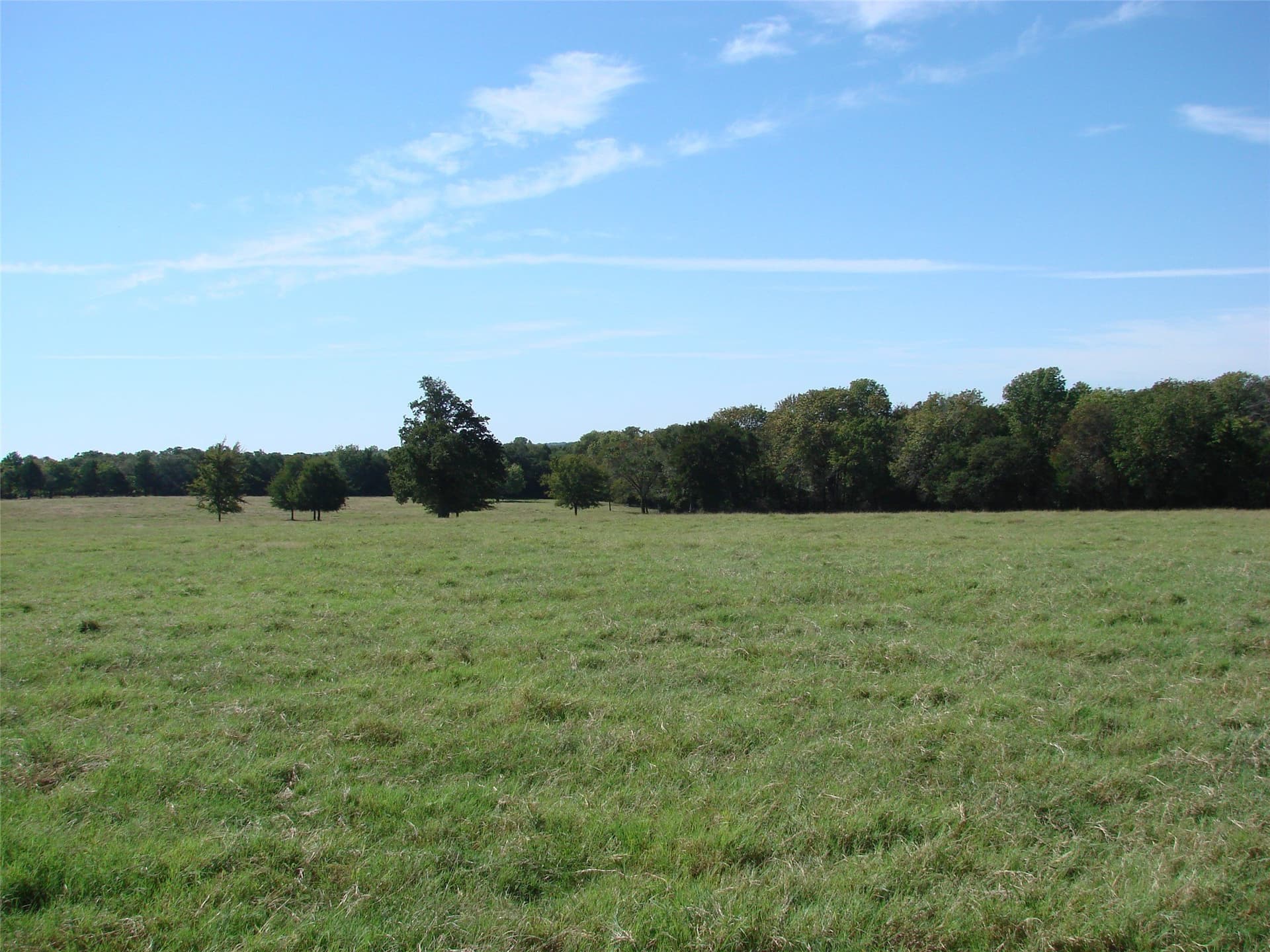 37.57 acres in Grayson County - photo 25