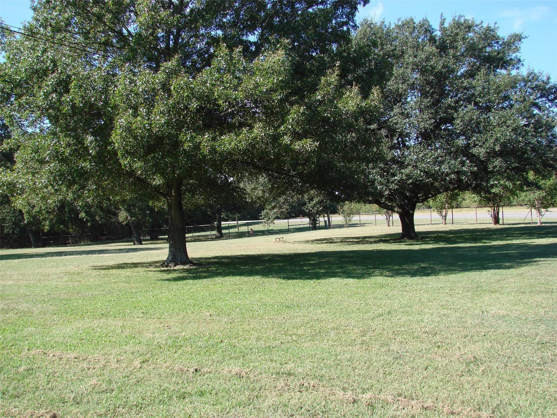 37.57 acres in Grayson County - photo 8