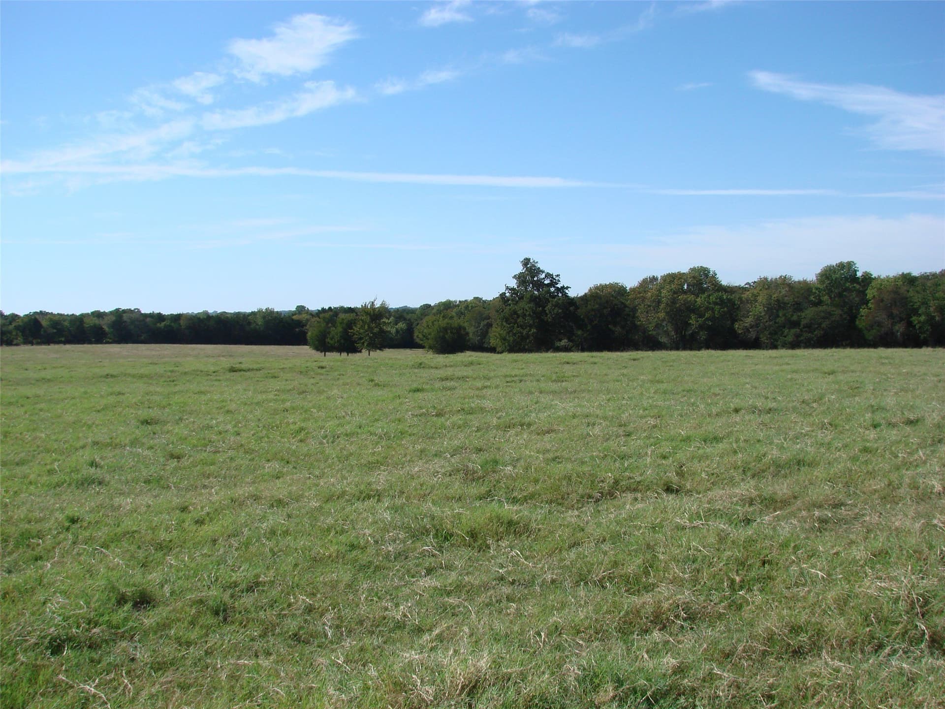 37.57 acres in Grayson County - photo 24