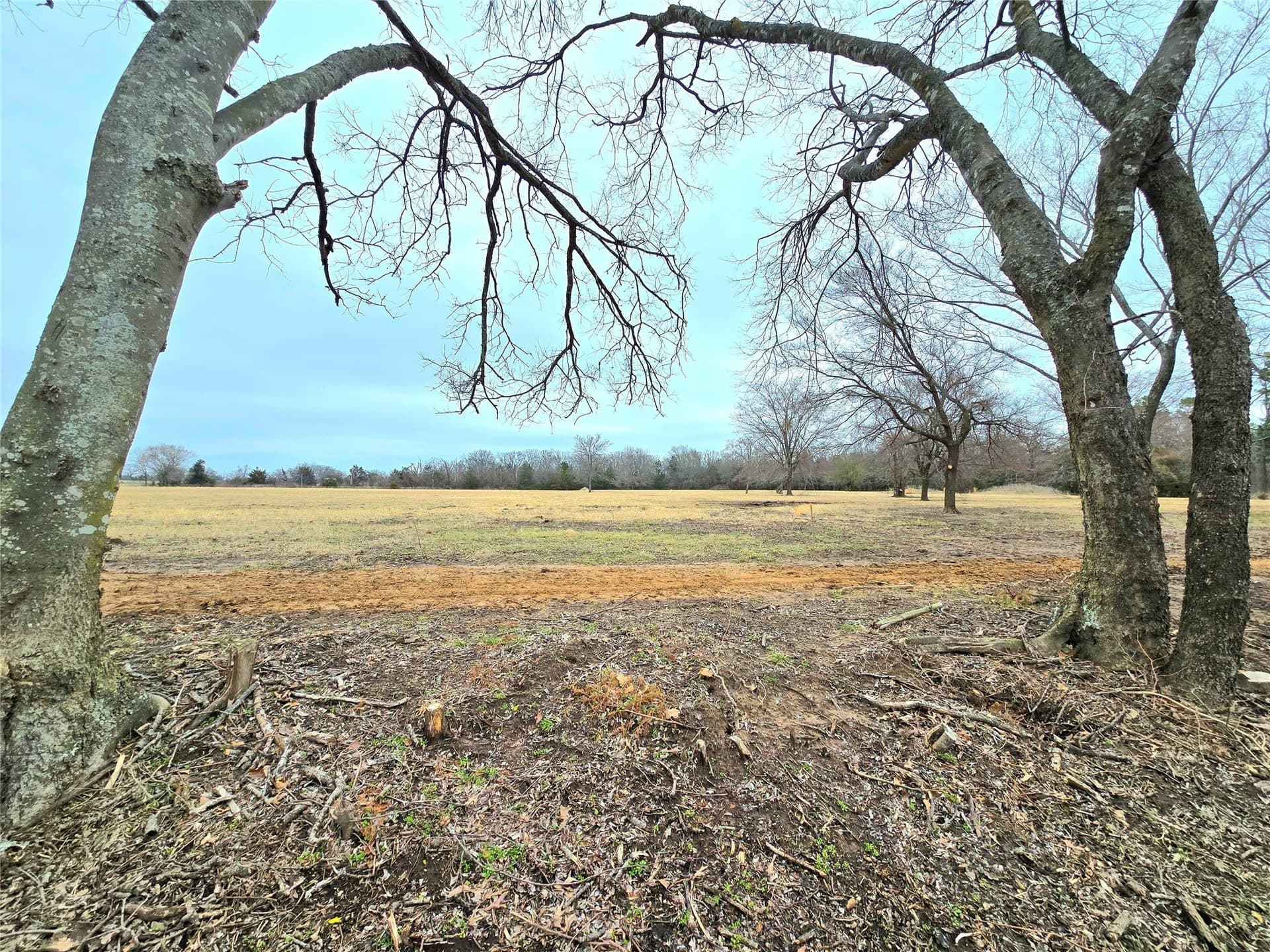 1.88 acres in Rains County
