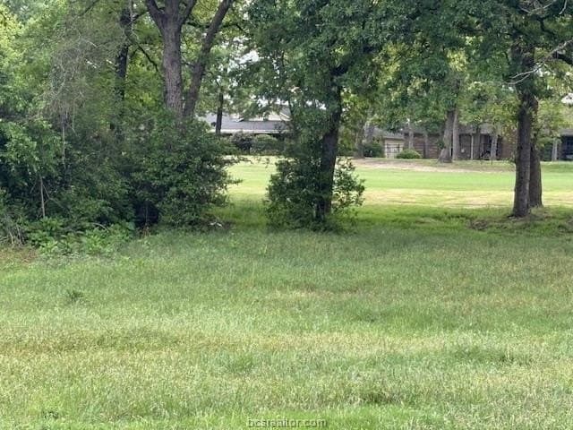 0.21 acres in Leon County - photo 12