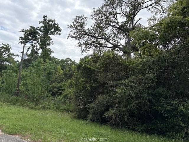 0.21 acres in Leon County - photo 6