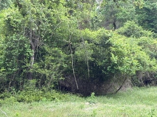 0.21 acres in Leon County - photo 16