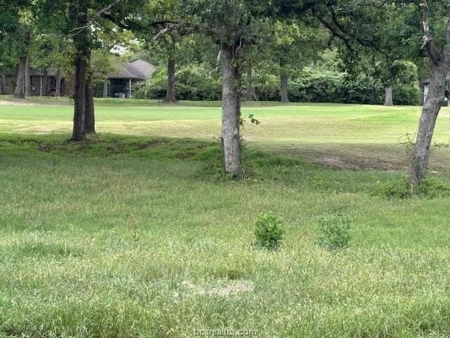 0.21 acres in Leon County - photo 13