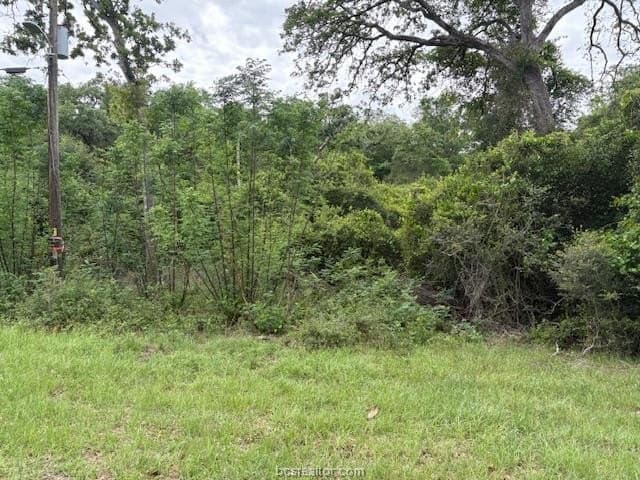 0.21 acres in Leon County gallery image 4