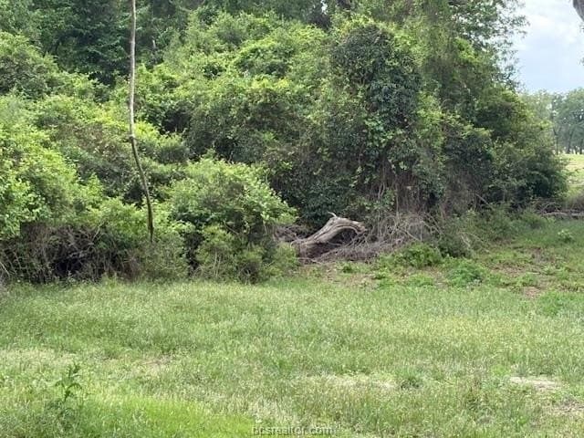 0.21 acres in Leon County - photo 15