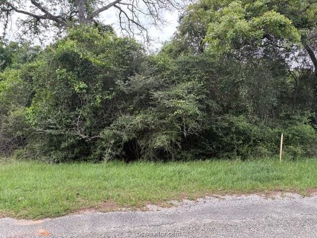 0.21 acres in Leon County featured view