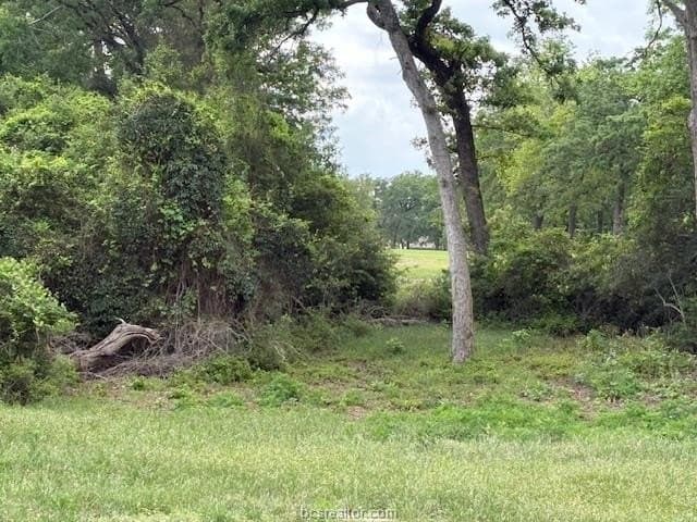 0.21 acres in Leon County - photo 11