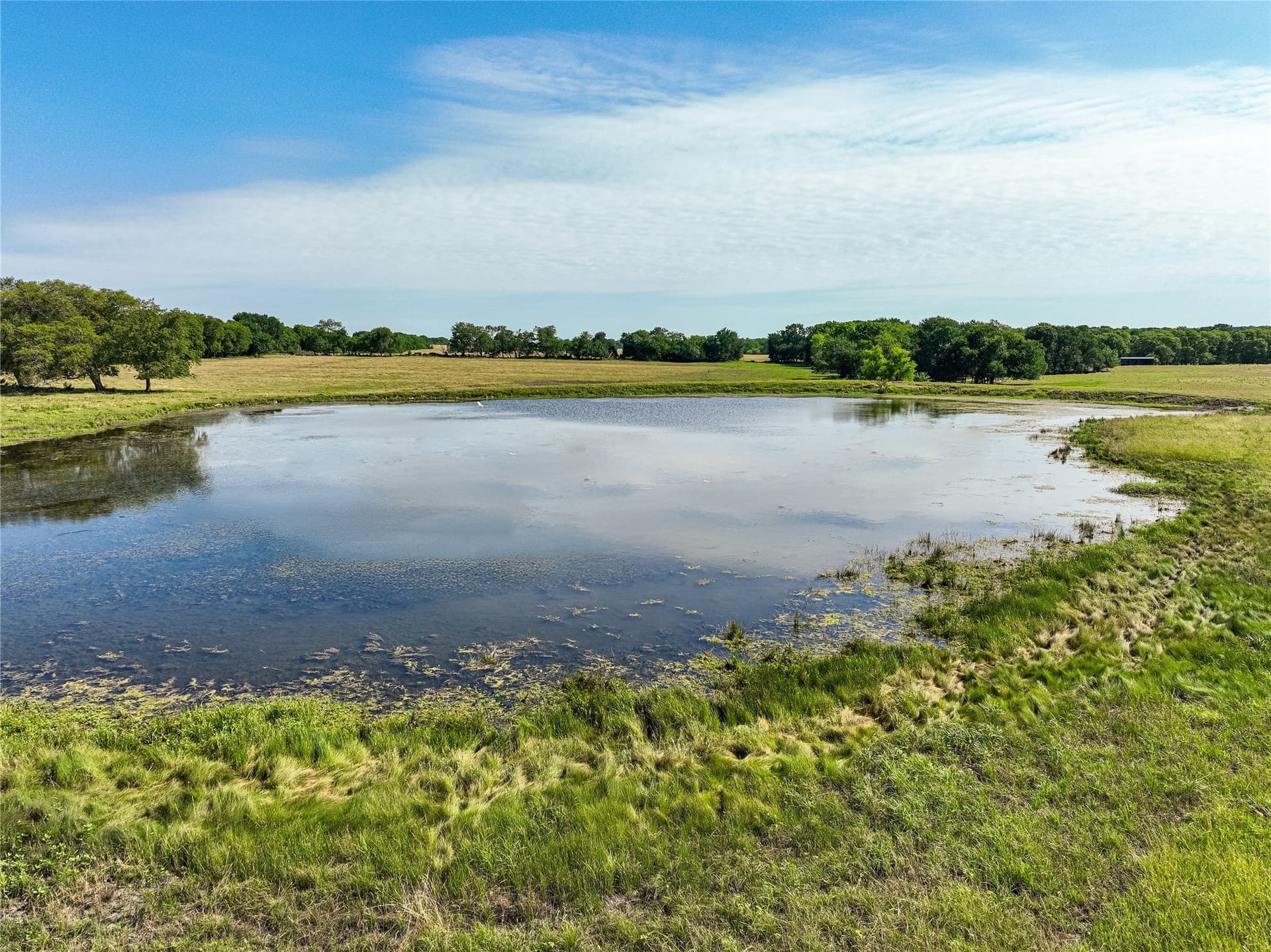 508.47 acres in Fannin County gallery image 3