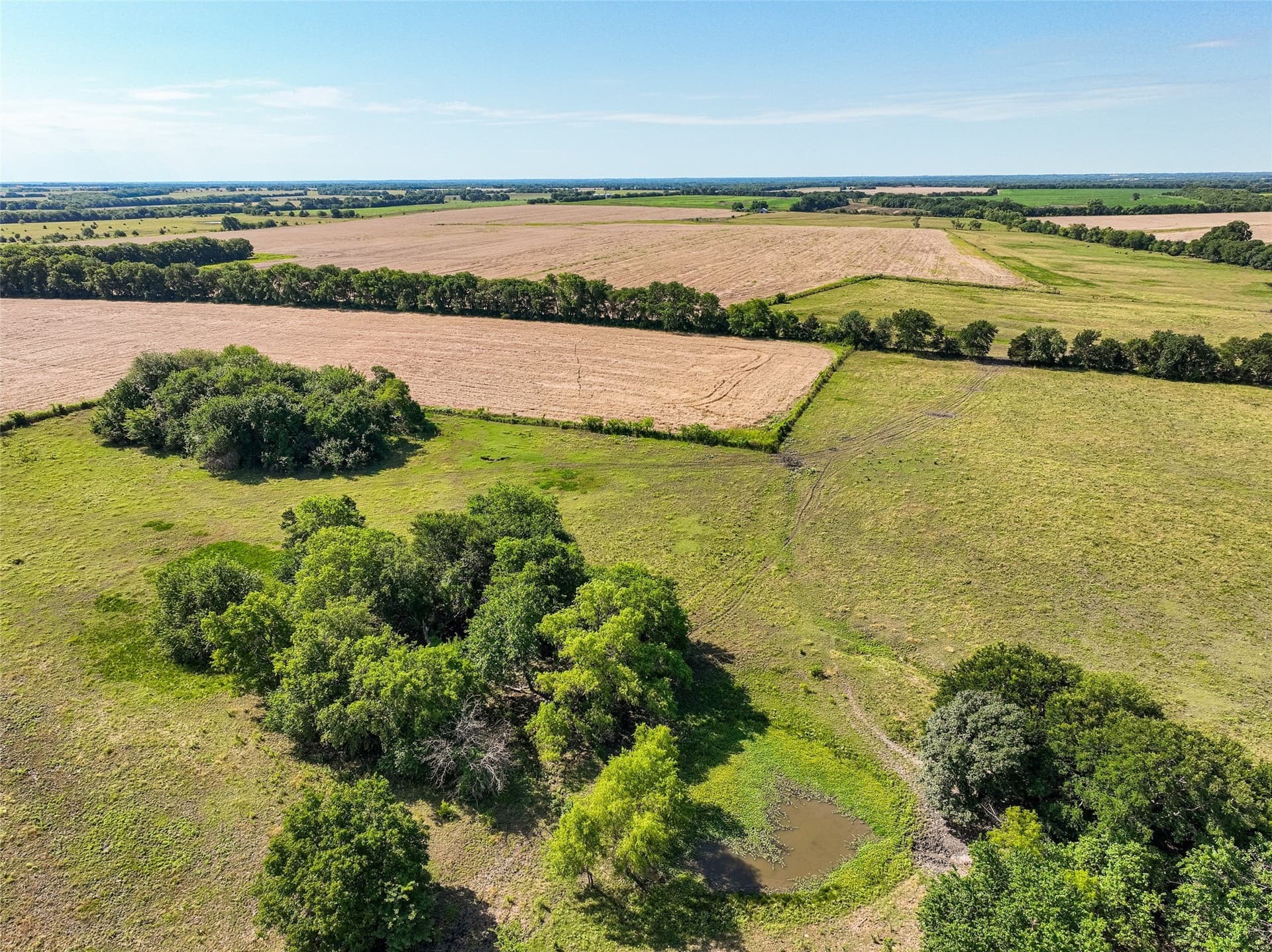 508.47 acres in Fannin County - photo 16