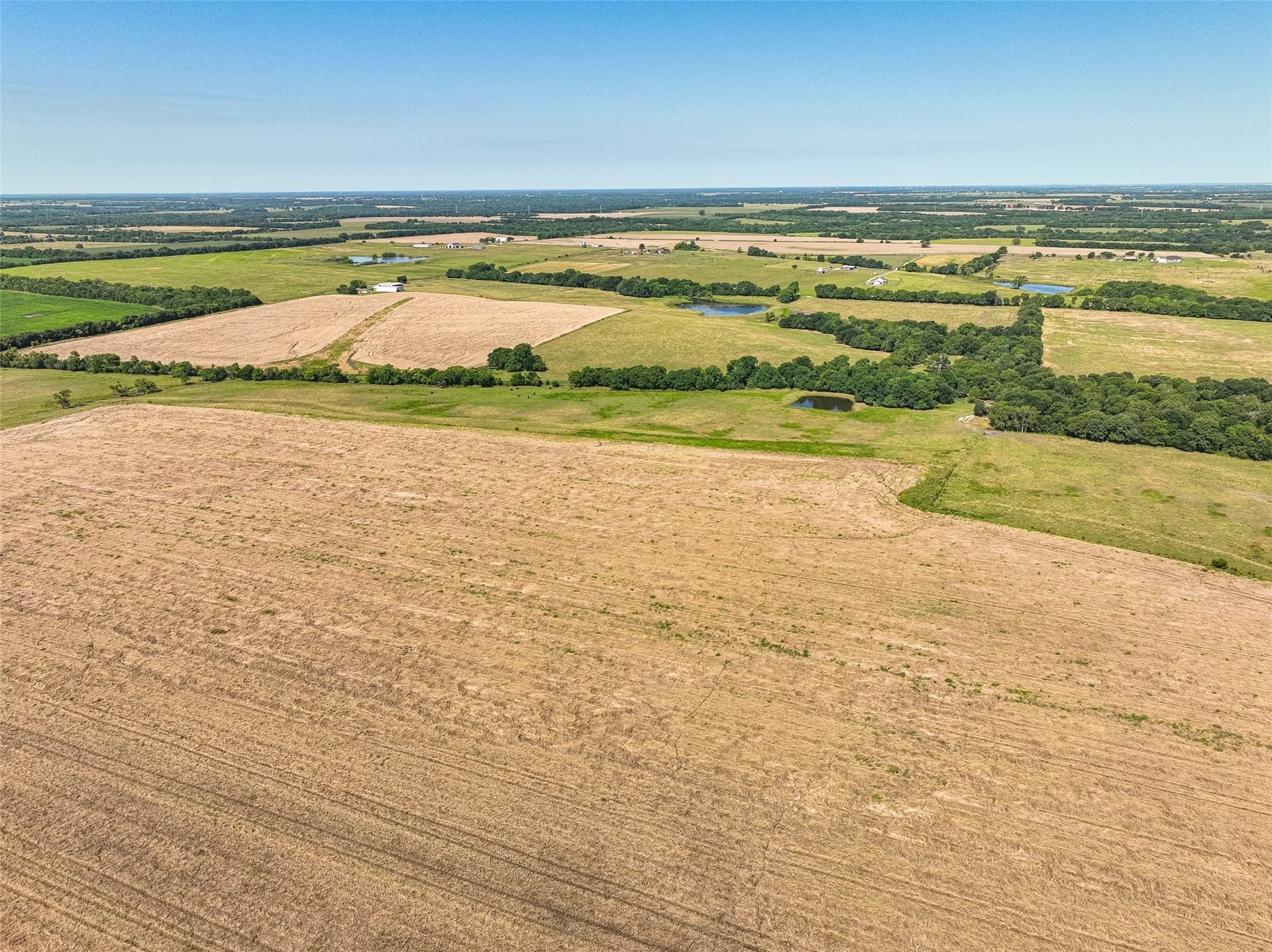 508.47 acres in Fannin County - photo 19