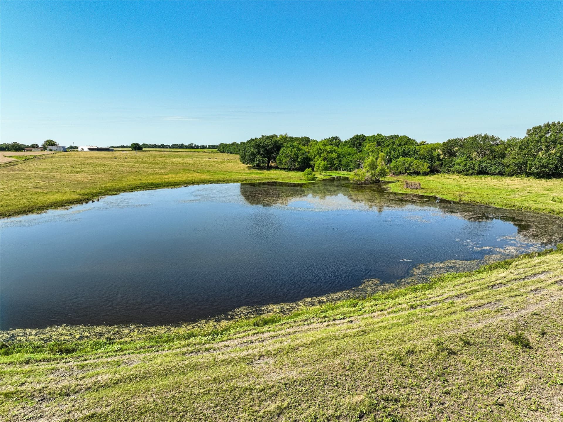 508.47 acres in Fannin County - photo 8
