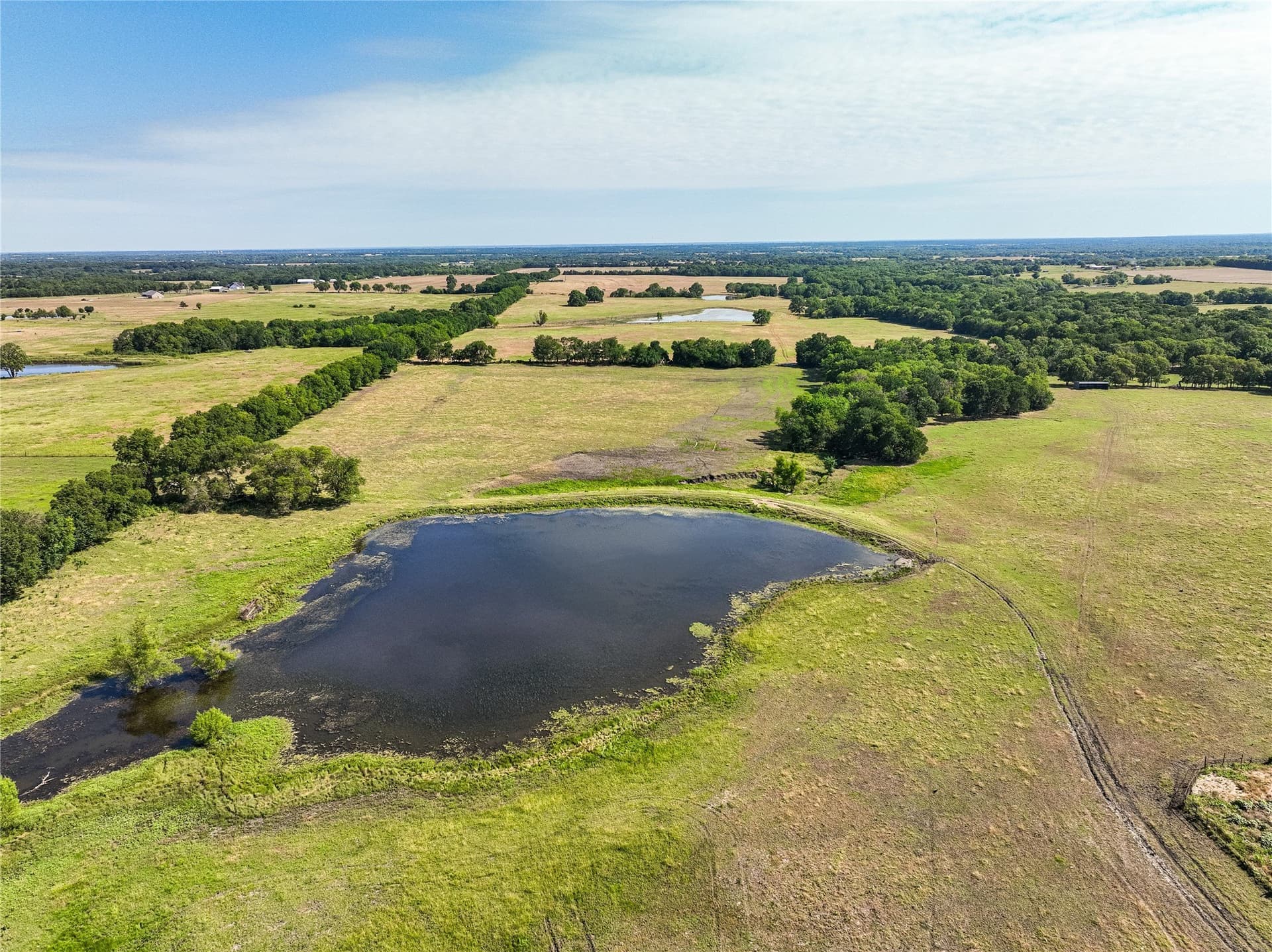 508.47 acres in Fannin County gallery image 2