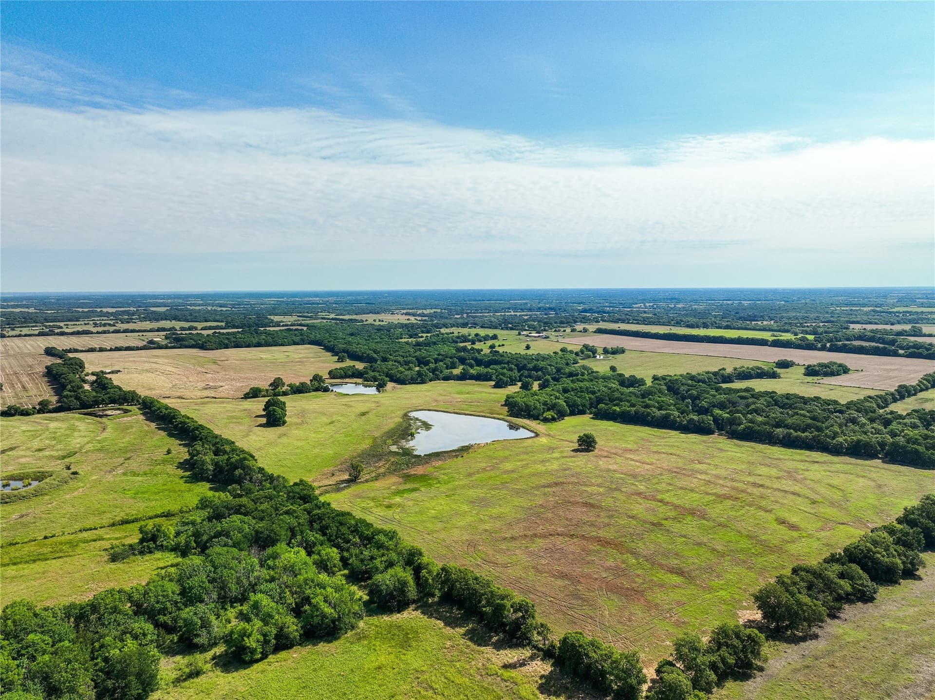 508.47 acres in Fannin County gallery image 4
