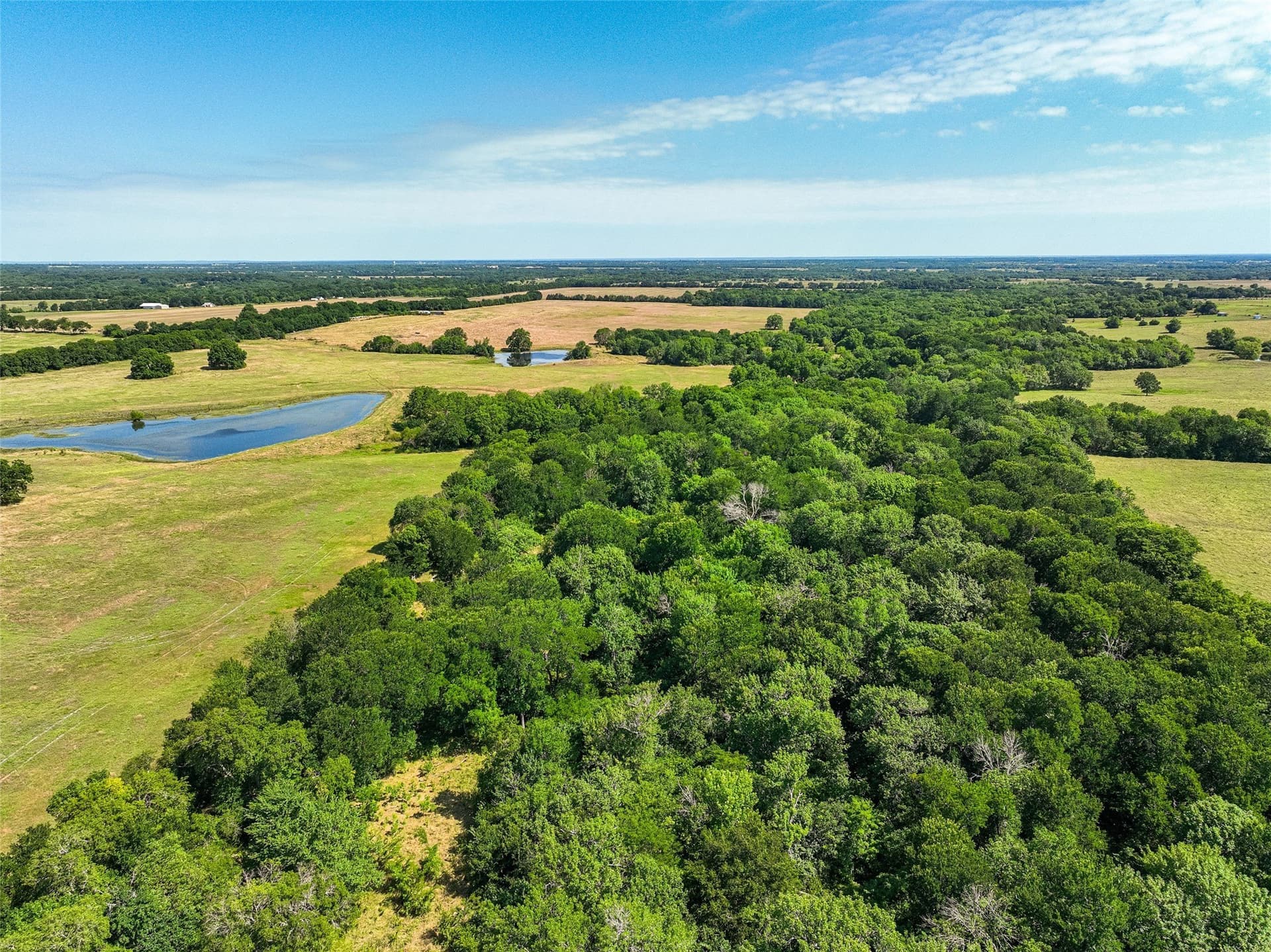 508.47 acres in Fannin County - photo 29
