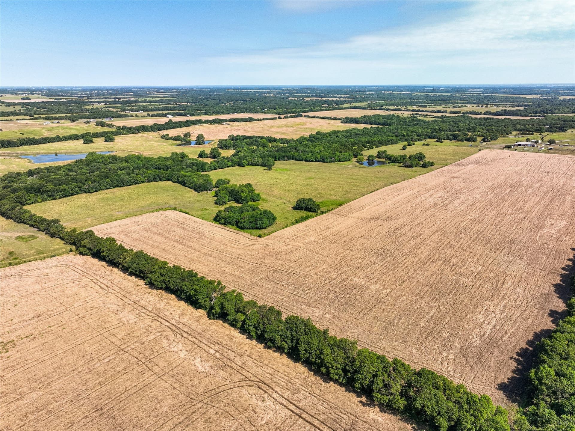 508.47 acres in Fannin County - photo 18