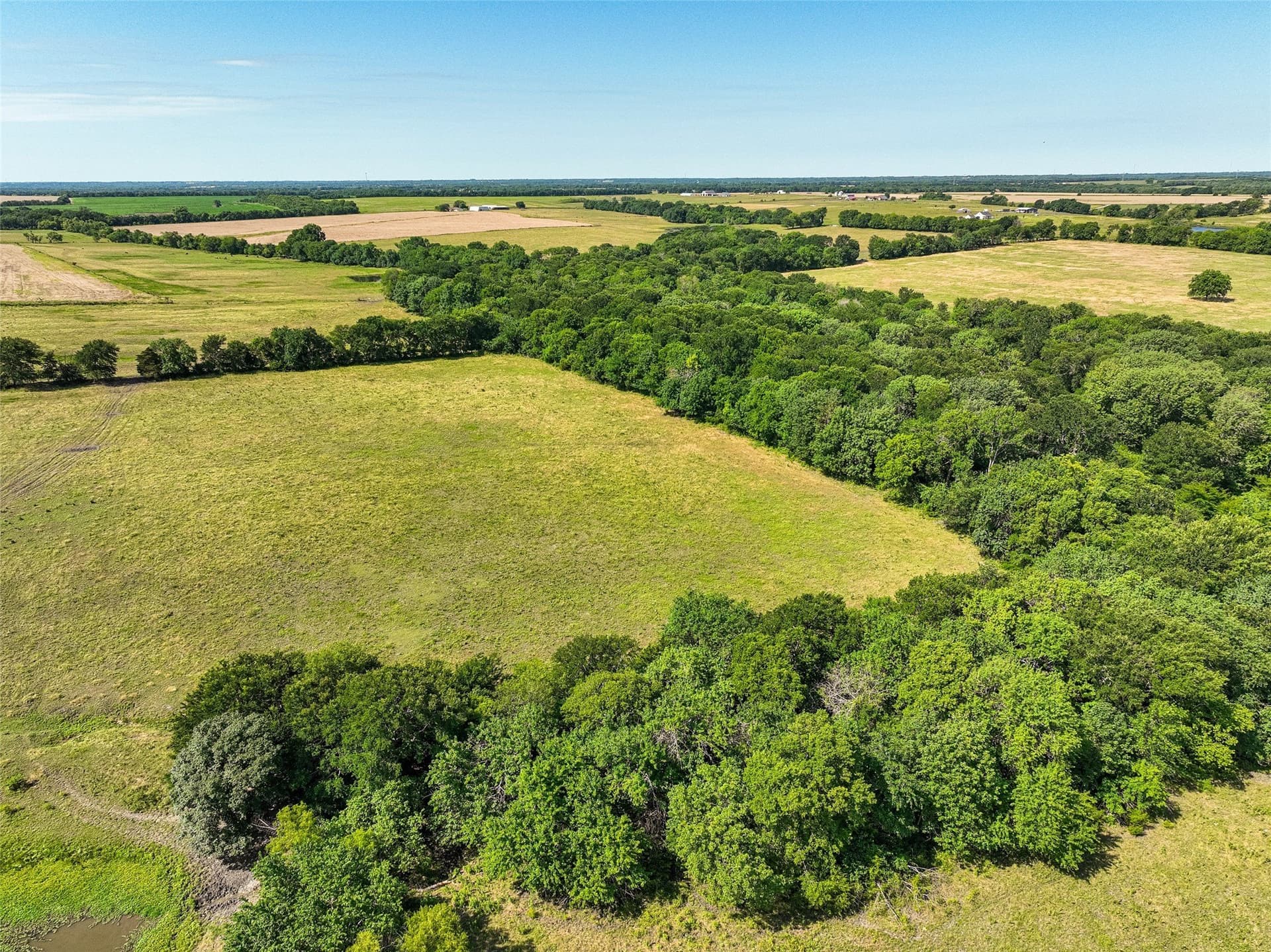 508.47 acres in Fannin County - photo 17