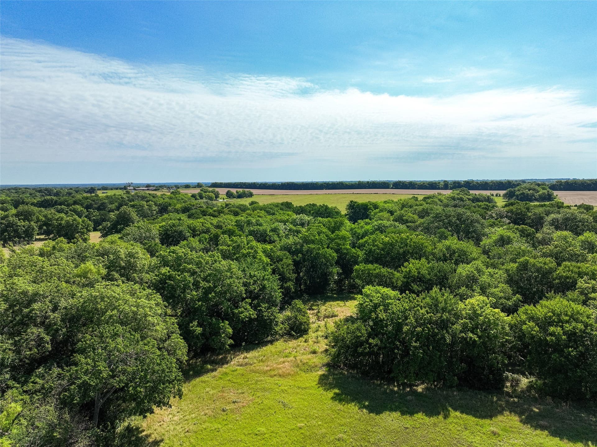 508.47 acres in Fannin County - photo 10