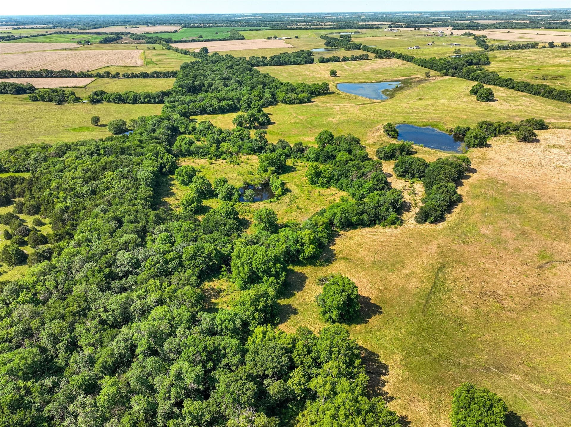 508.47 acres in Fannin County - photo 11