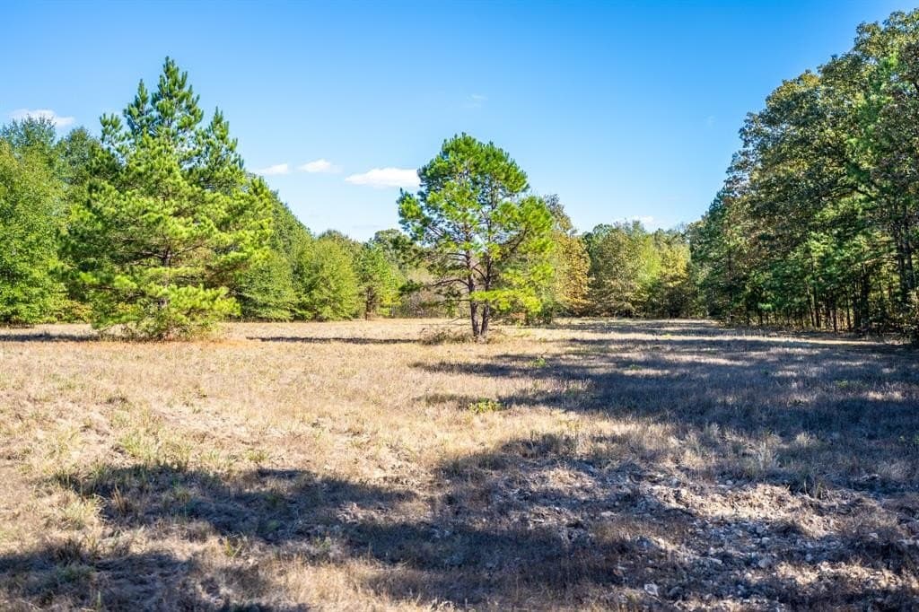 85 acres in Red River (TX) County gallery image 4