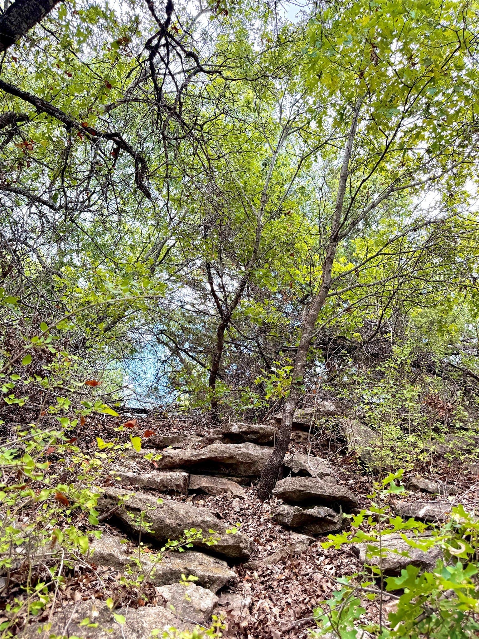 16.26 acres in Eastland County - photo 9