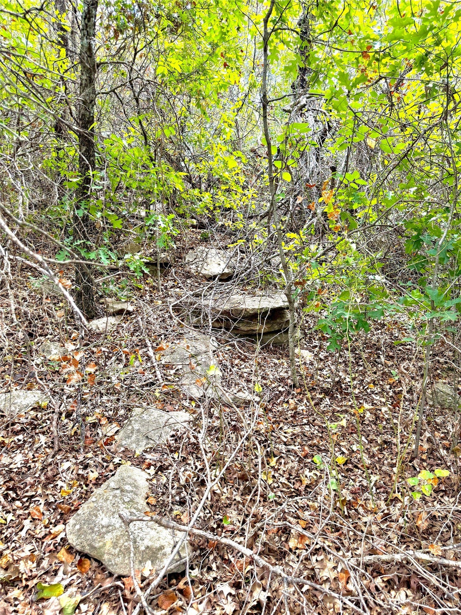 16.26 acres in Eastland County - photo 7