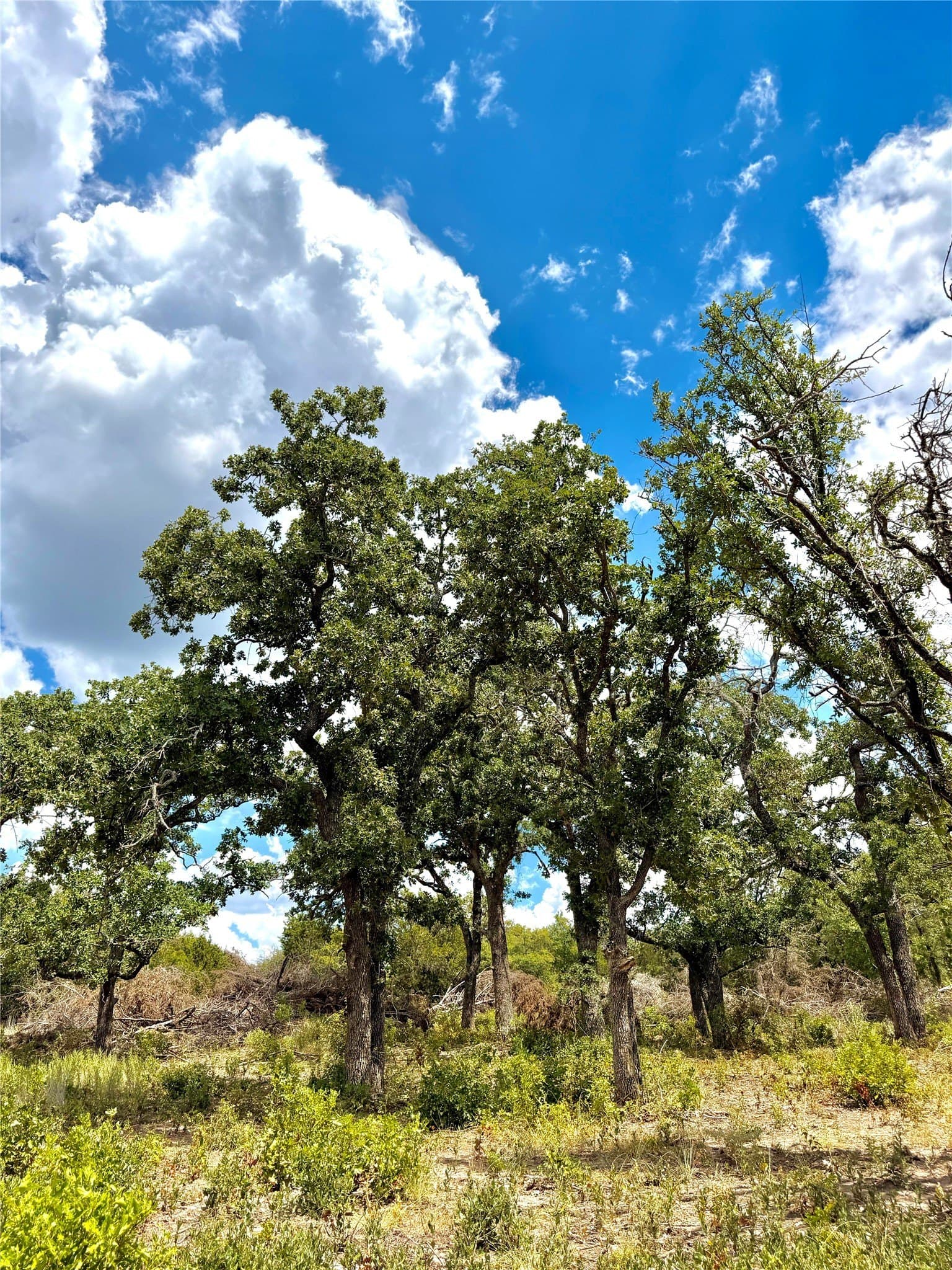 16.26 acres in Eastland County - photo 3