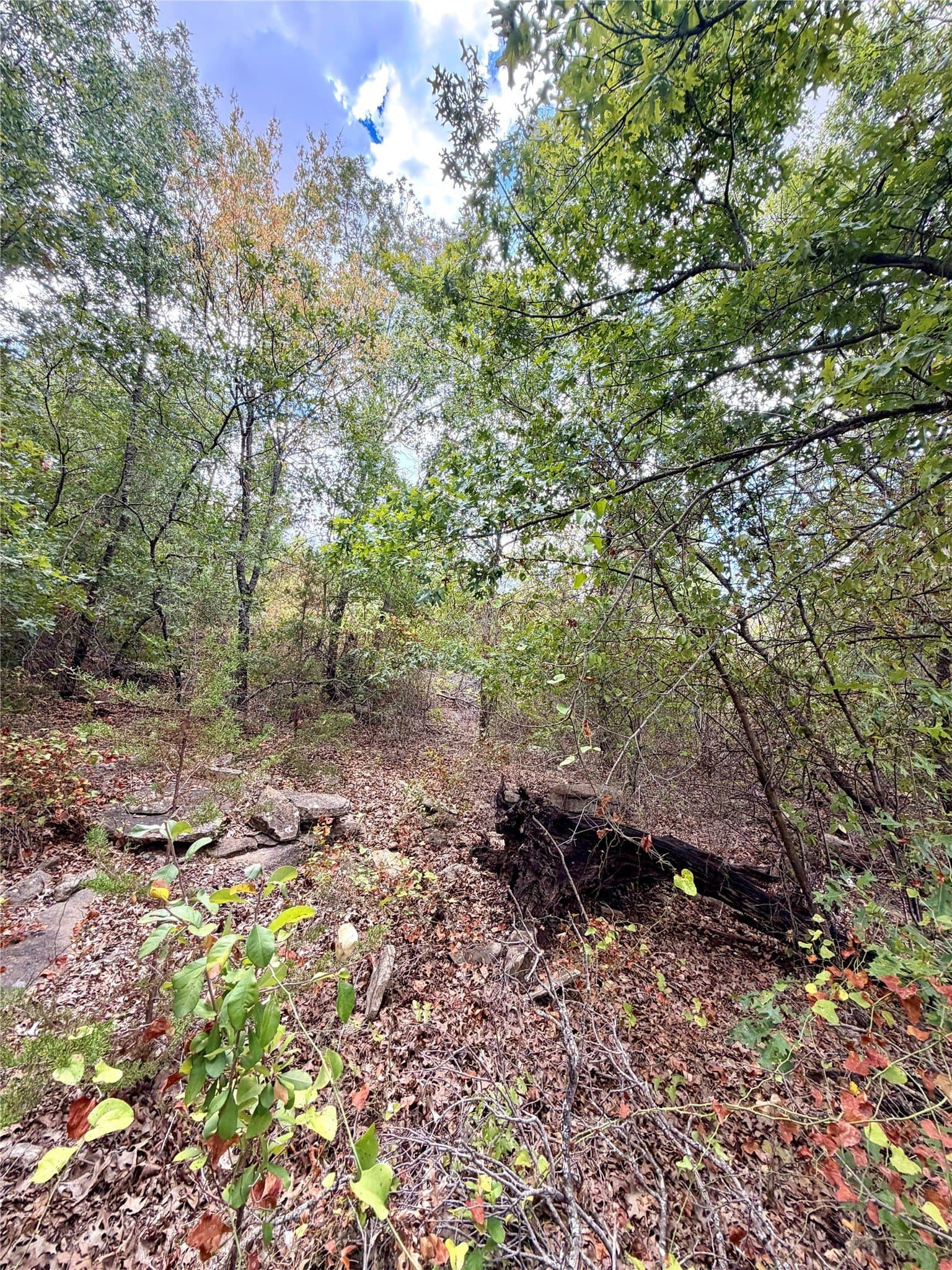 16.26 acres in Eastland County - photo 4