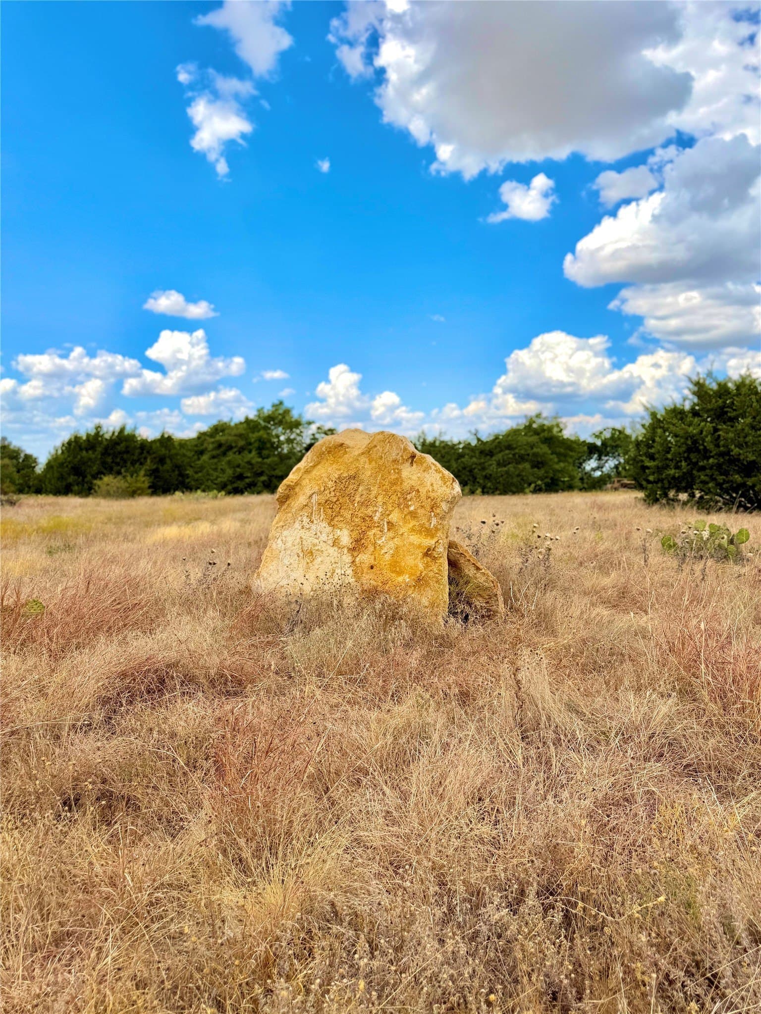 16.26 acres in Eastland County - photo 5