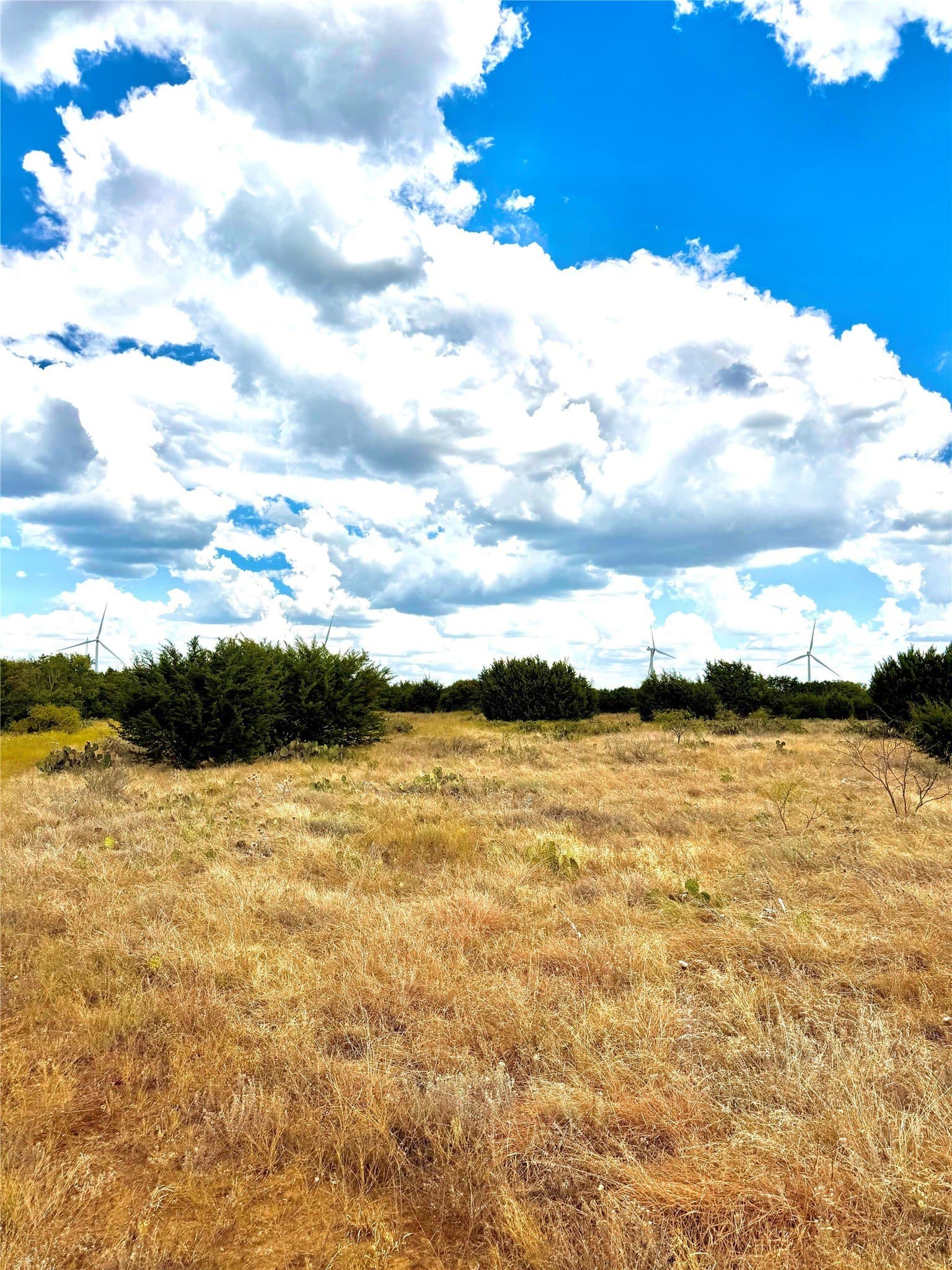 16.26 acres in Eastland County - photo 10