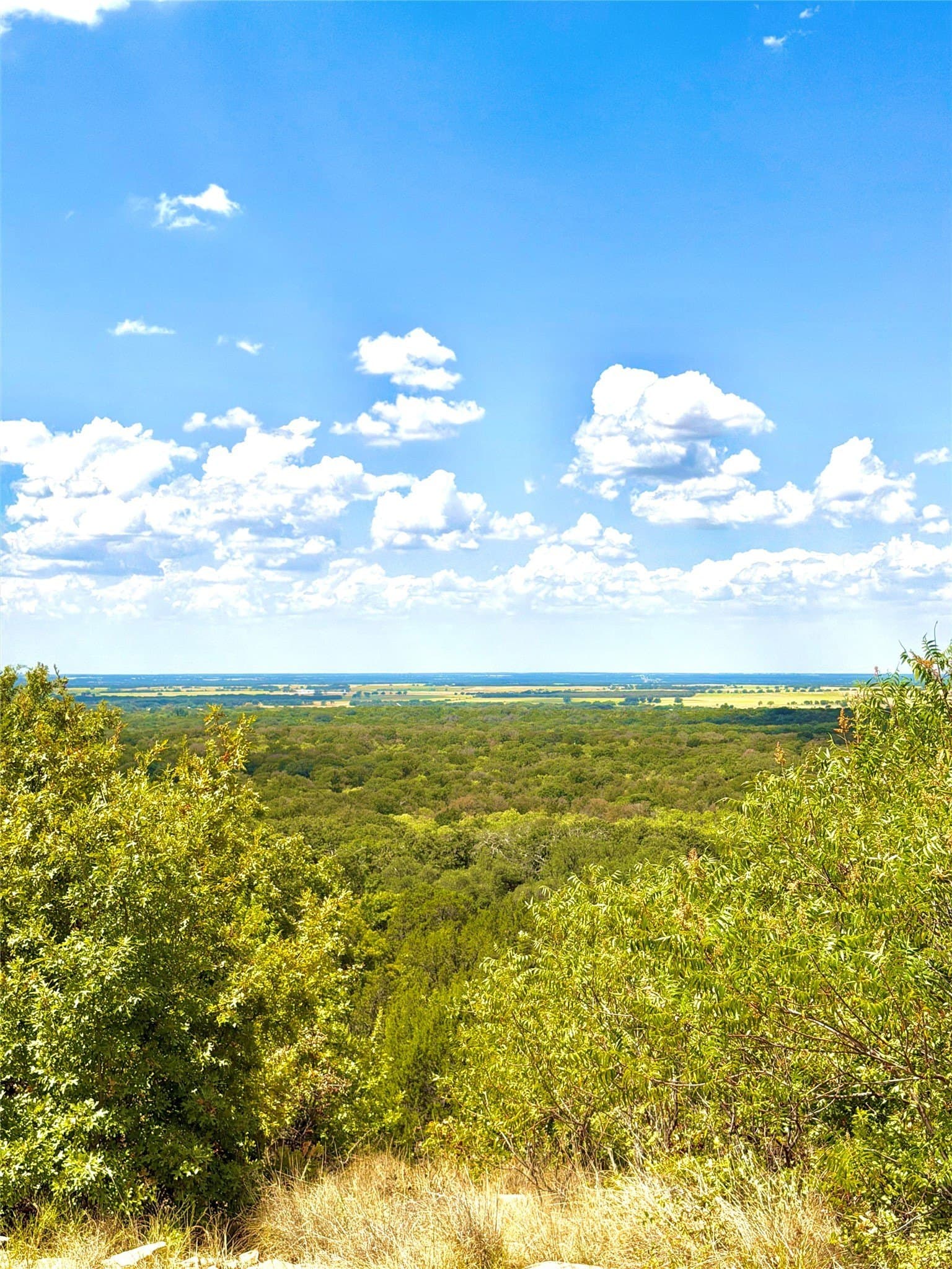 16.26 acres in Eastland County - photo 2