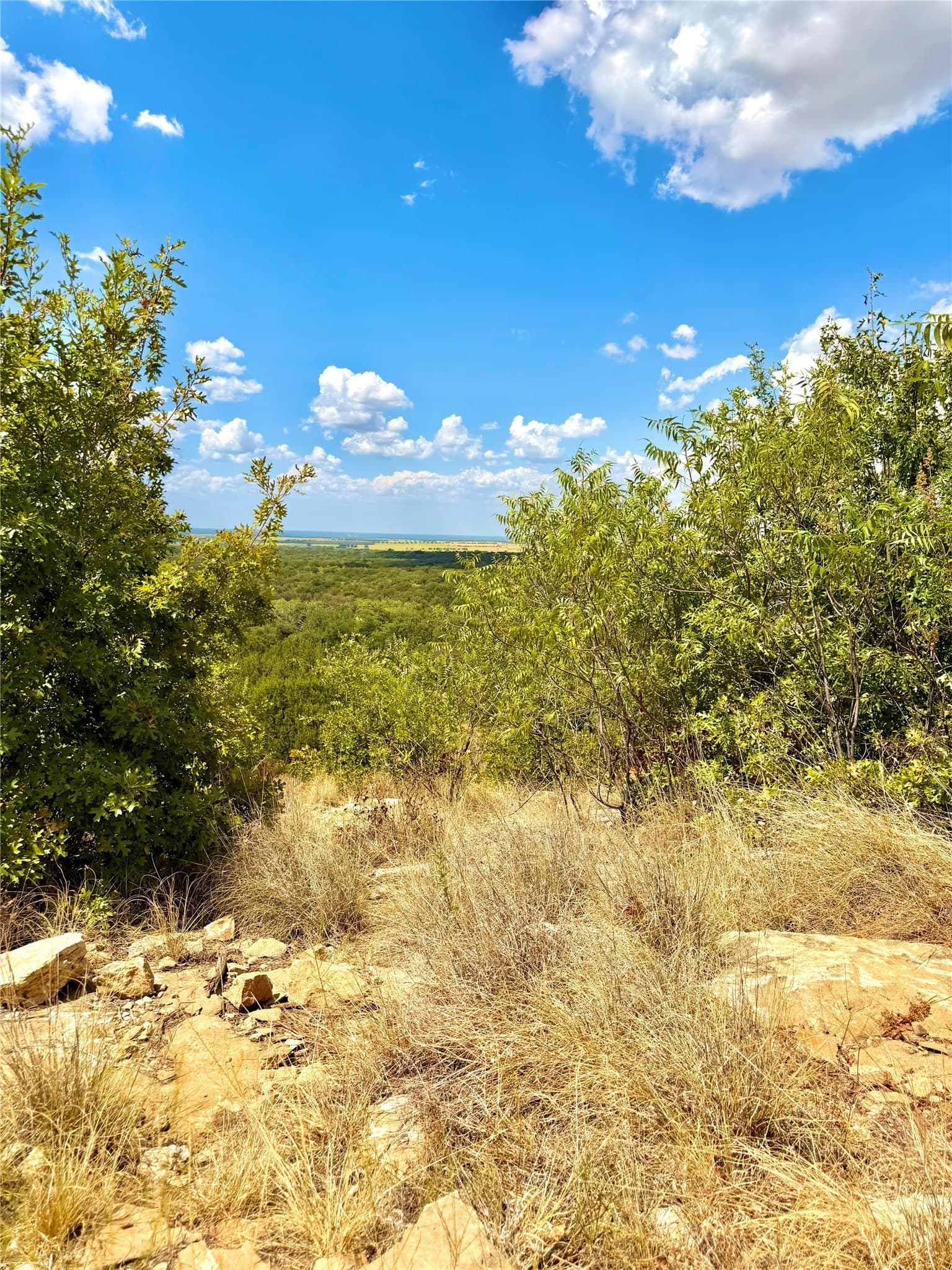 16.26 acres in Eastland County